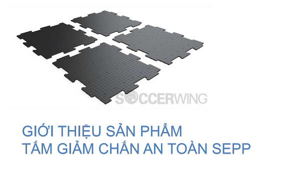 Thảm Trải Sàn Cỏ Nhân Tạo